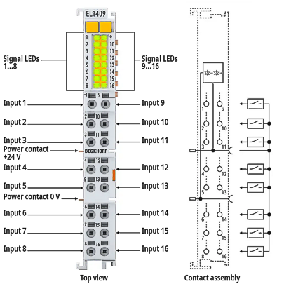 LED und Anschlussbelegung 1: