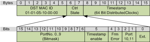 ESL Protocol 2: