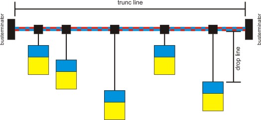 can_phys_4