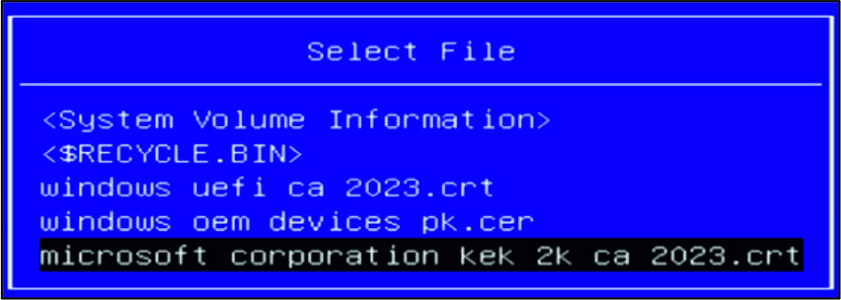 Manual update 7: